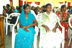 Picture-250