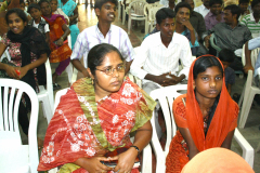 Picture-252
