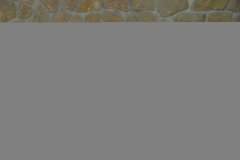 DSC00726